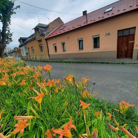Kis Rigo Vendeghaz Hotel Salgótarján Екстериор снимка