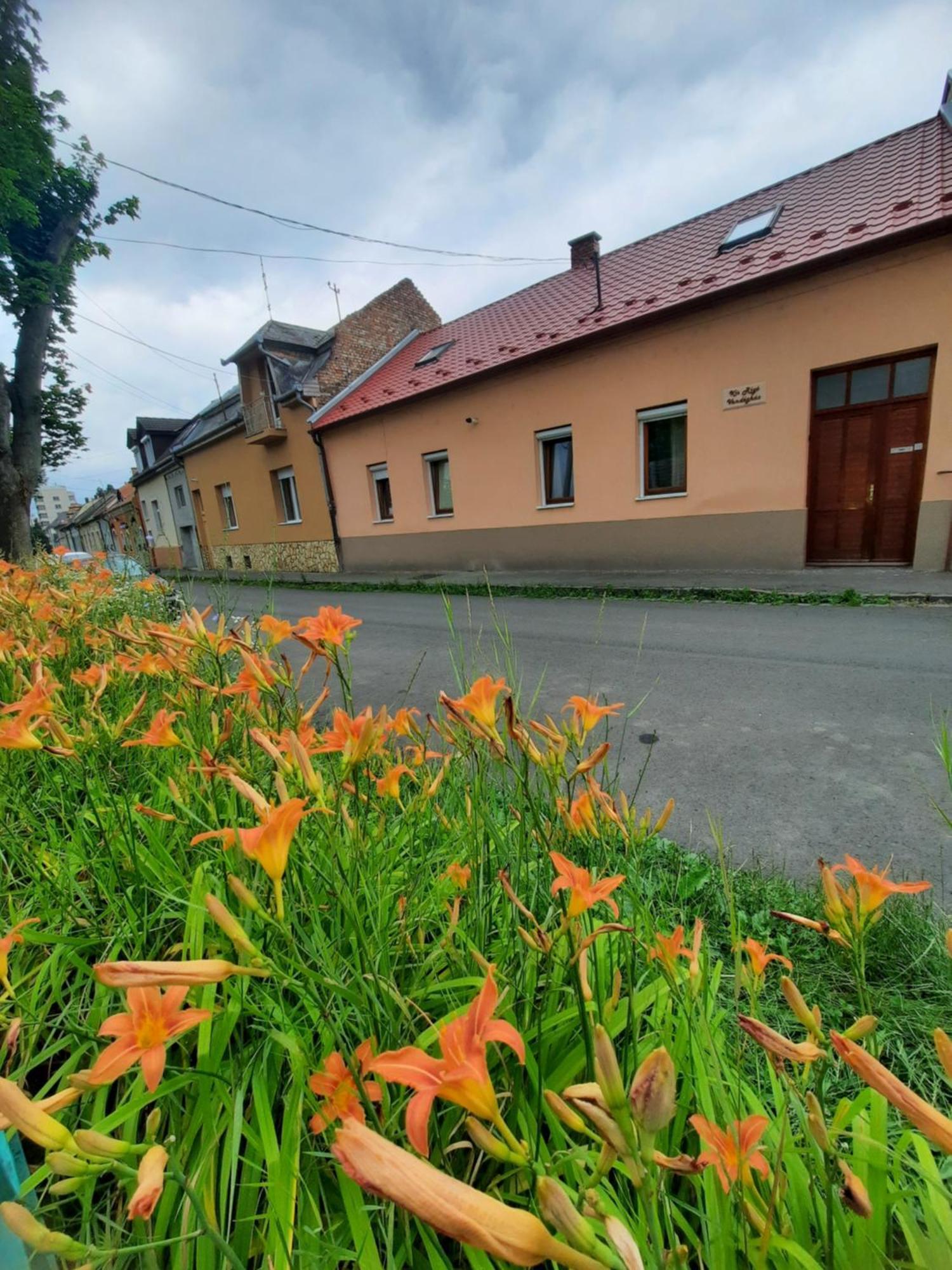 Kis Rigo Vendeghaz Hotel Salgótarján Екстериор снимка